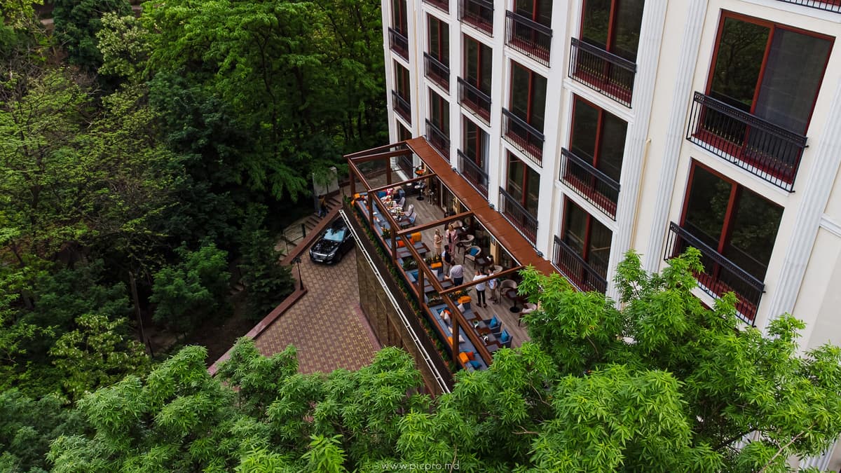 Basilico — фото 1